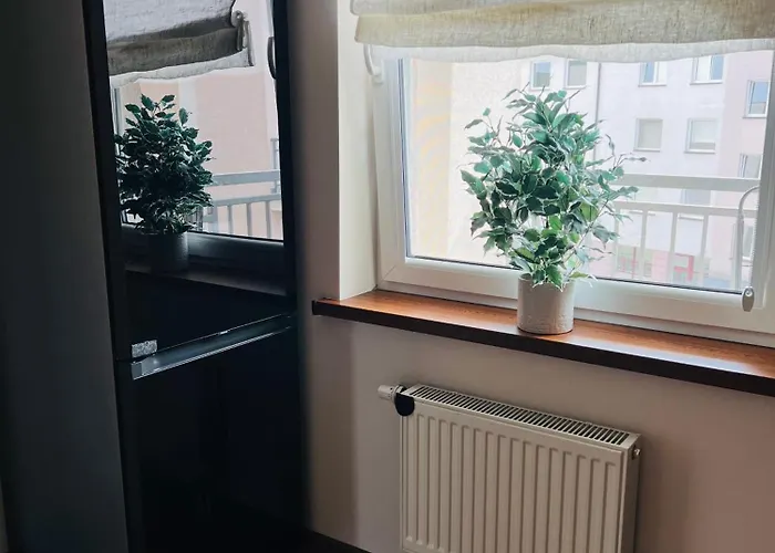 Apartament Zloty Rog