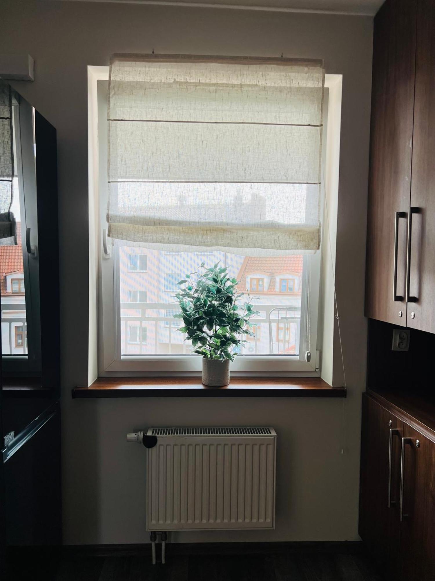 Apartment Zloty Rog Plock
